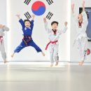 뿌리깊은나무 국기태권도장 이미지