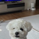 여의대로2길 이미지