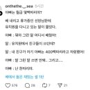 따리나 이미지