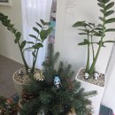 등임 | 김포전신관리 등관리 잘하는 곳, 라뷰숲칼프 방문후기