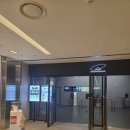 서울 실내 데이트 추천 룸 포 원더 전시 후기, 그라운드 시소 이스트