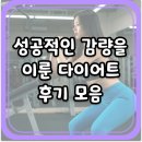 성공적인 감량을 이룬 다이어트 후기 모음