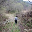 청송사슴농장 이미지