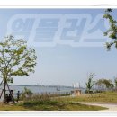 엠플러스힐링센터