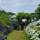 동광리-19 이미지