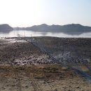 죽림어촌체험마을 이미지