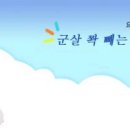 요가B 이미지