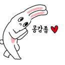 사파동255 이미지