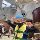 한국파워점핑줄넘기 & 경희대태권도 이미지