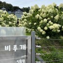 곰돌이어린이공원 화장실 다이닝코드
