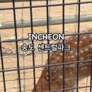 연수사슴농장 이미지
