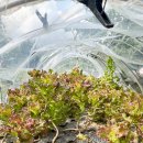 해돈농장 이미지