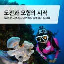 소셜다이버 이미지