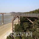 장항스카이워크 이미지