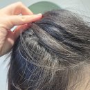 망월천_호수공원1 | 미사 1인 미용실 이아누 헤어 망월천 바라보며 프라이빗하게 받는 염색 후기