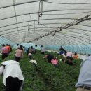 둥지농장 이미지