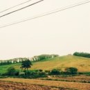 백배목장 이미지