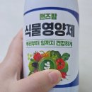 주식회사 힐링팜 | 뿌리발근제로 식물 건강 챙기기 – 핸즈팜 뿌리활력제 사용 후기 🌱