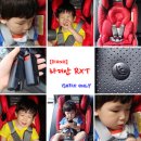 라디안아이 이미지