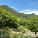 짱아숯불바베큐 | 순천 숙소 추천 [포레스트인 승주_구름위의 집] 힐링 촌카스 솥뚜껑바베큐