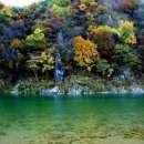 종은농장 이미지