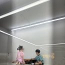 도치트리오