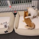 아이파크1단지@ 이미지