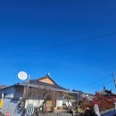 황애견 | 경주 황리단길스테이) "황" 후기 / 조식제공 / 애견동반 숙소 / 황리단길 주변 숙소 / 황리단길 숙소...