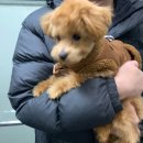 견생 이발소 이미지