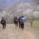 매봉농장 이미지