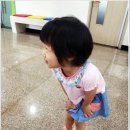 다은벌꿀