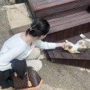 다랭이918 이미지