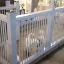 고양이미용실 이미지