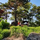 성도농장 이미지