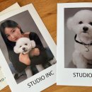 스튜디오 아이엔씨 이미지