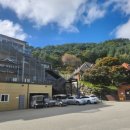 이마트24 효창골프장점 | 충북 보은군 숙소 추천 &#39;나인밸리파크&#39; 리조트 디럭스 스탠다드 트윈룸 내돈내산 찐 후기