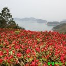 019-문산-019 이미지