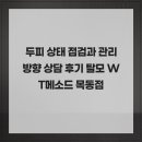 목동vip센터 | 두피 상태 점검과 관리 방향 상담 후기 탈모 WT메소드 목동점