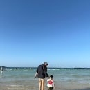 제주조우아 월림 이미지