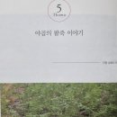 팥죽이야기 이미지