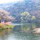 호암미술관 이미지