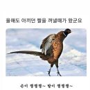 메인 휘트니스 백마점 이미지