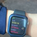 아라핏짐 이미지