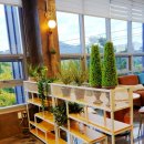 클래시듀드(classydude) 이미지