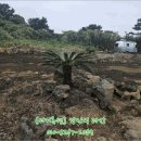 오조리사무소 이미지