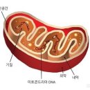 원짐 이미지