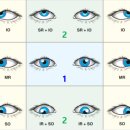 모던 비 안경원 이미지