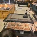 지에스25 일산킨텍스점 | 일산 아이랑 실내 갈만한곳 현대백화점 킨텍스점 몬스터키즈쇼(~1/25)