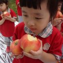 리틀영재어린이집 이미지