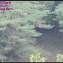 중로2-650 이미지